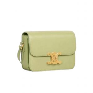 Celine Teen Triomphe Bag In Shiny Calfskin Light Jade-Celine women handbag-Celine shoulders bags